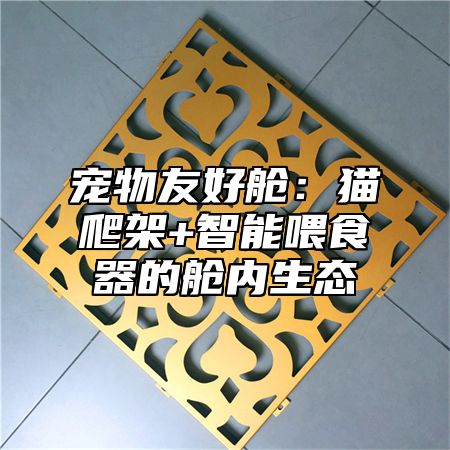 宠物友好舱：猫爬架+智能喂食器的舱内生态